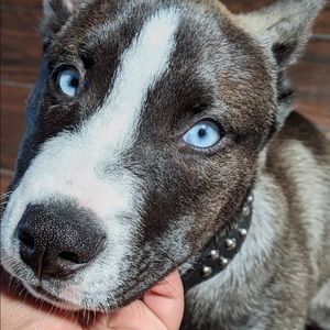 Meet your Posher, Mariana